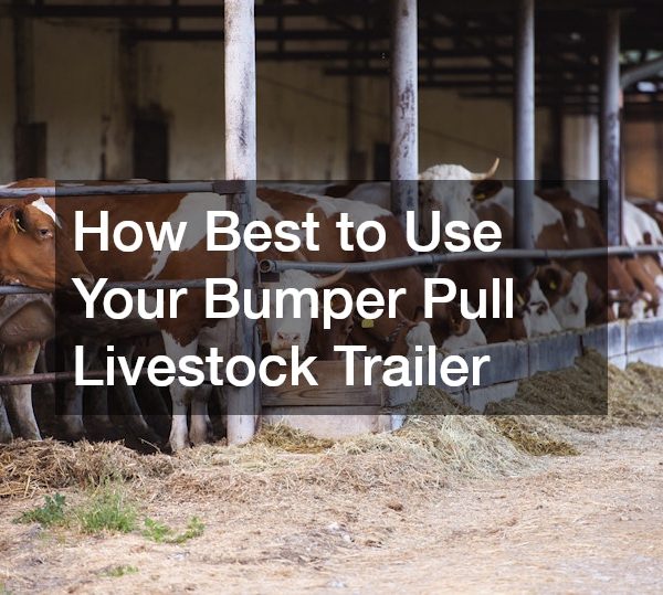 How Best to Use Your Bumper Pull Livestock Trailer